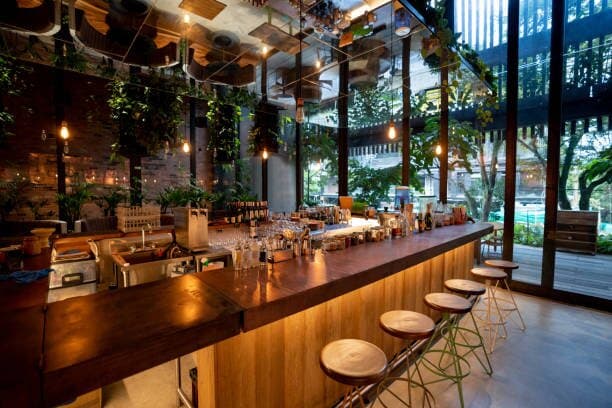 Warm-lit bar with plants and stools